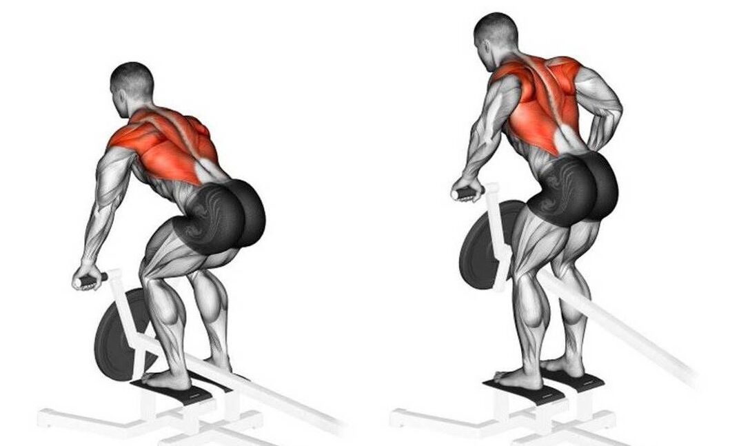 exercises to strengthen the back muscles