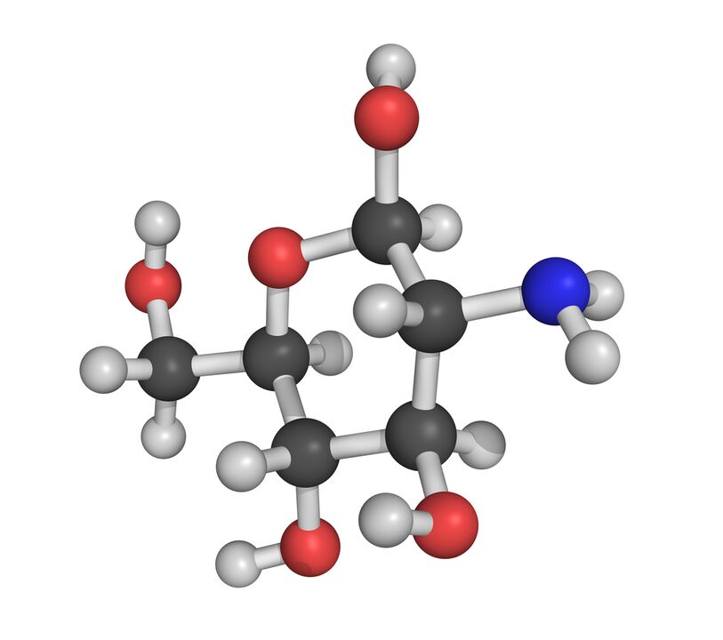 chondroitin - an element of the HondroFrost composition